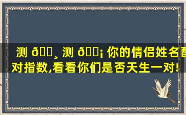 测 🌸 测 🐡 你的情侣姓名配对指数,看看你们是否天生一对!